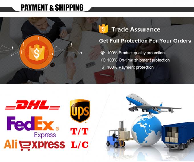 Λουξ σε απευθείας σύνδεση ασφάλειας Norton μεταφορτώνει 1 PC έτοιμη παράδοση ηλεκτρονικού ταχυδρομείου λογισμικού αντιιών 1 έτους 4